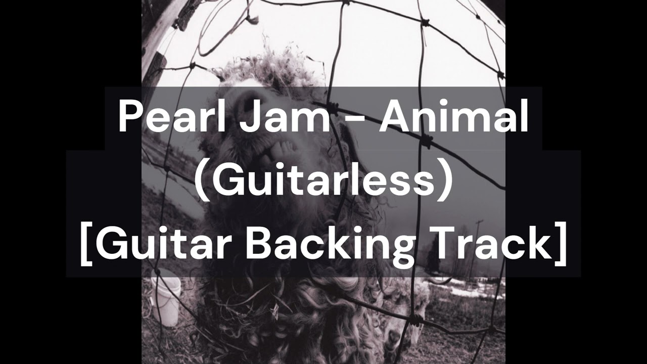 Pearl Jam - Animal (Guitarless) [Guitar Backing Track]