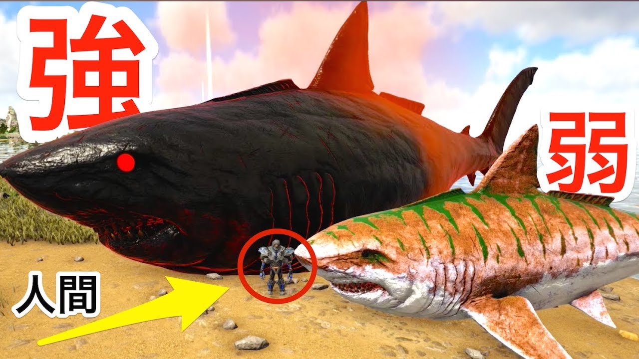 これ見つけたら急いで逃げて！巨大すぎるサメ『超メガロドン』#55【 ARK 】実況