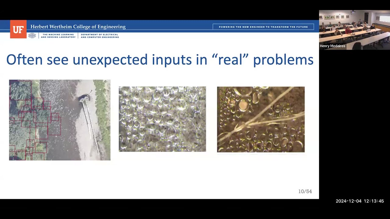 December 4, 2024 Seminar - UF/IFAS AI and Data Science Seminar Series