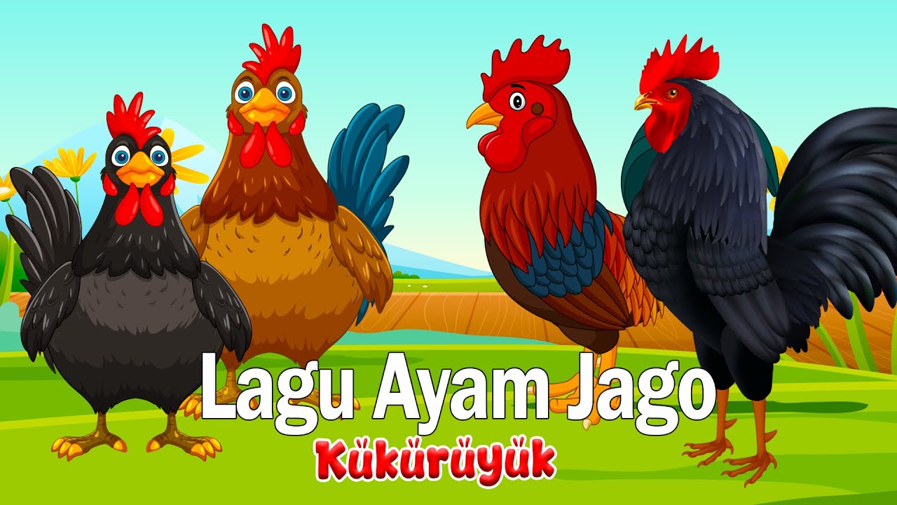 Lagu Anak Kukuruyuk - Lagu Ayam Jago dan Bebek - Lagu anak Indonesia