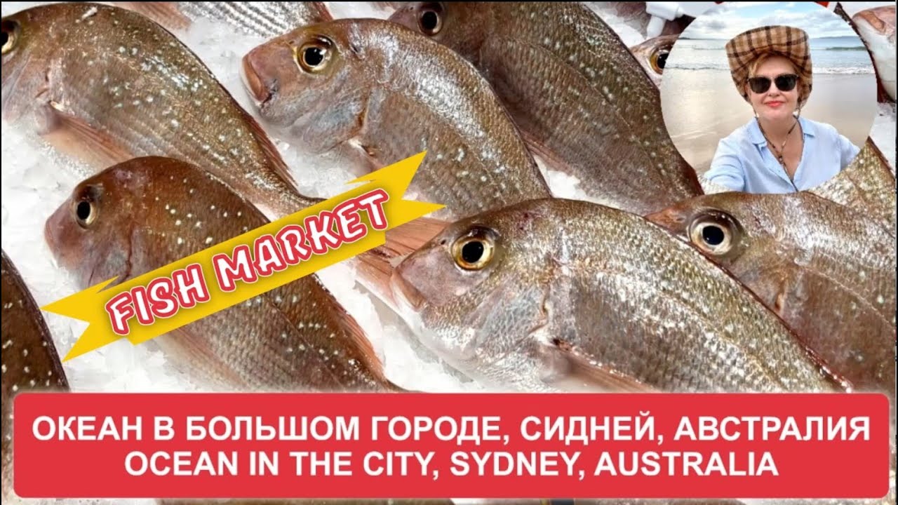 Fish market/Рыбный рынок с ценами, Сидней, Австралия/Sydney, Australia #10