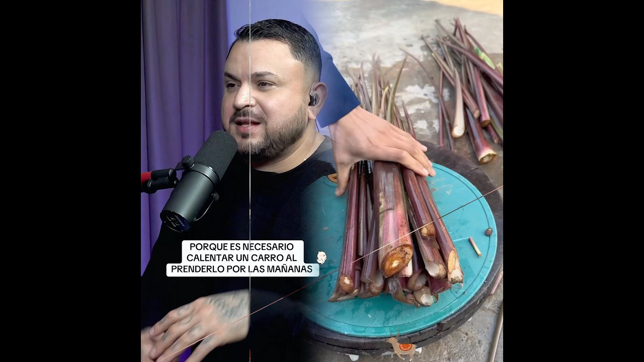 #gusgripodcast #podcast #casar #canada_life #storytime #lifeisbutadream