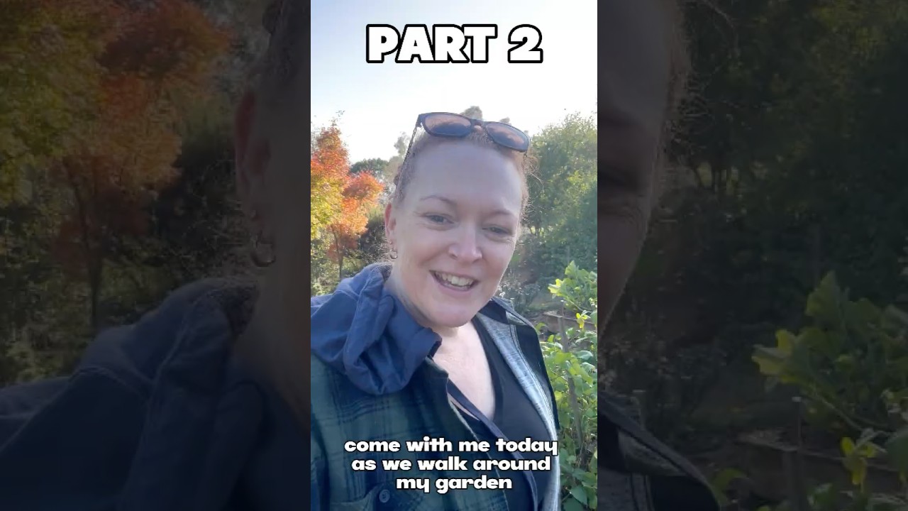 What's in my Scrappy Garden - Part 2