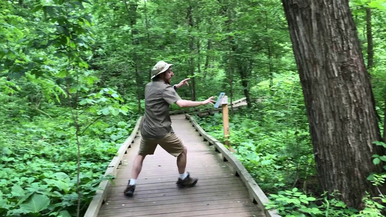 Neuroradiology Safari