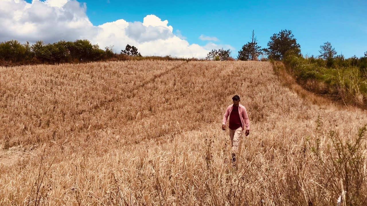 SEPERTI YG KAU INGINI Cover Philip Haddy (cipt Jonathan Prawira).