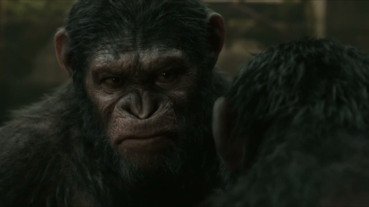 Dawn of the Planet of the Apes (2014) - Caesar vs Koba