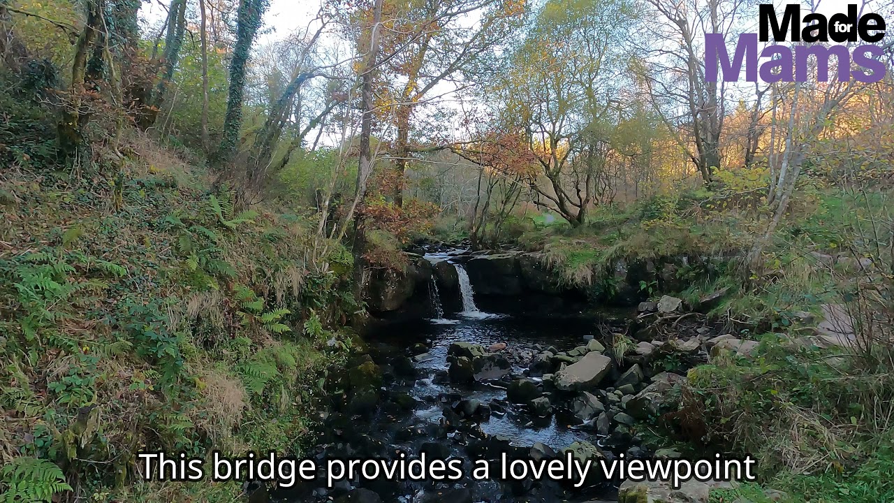 | Made for Mams - Garwnant Willow Walk