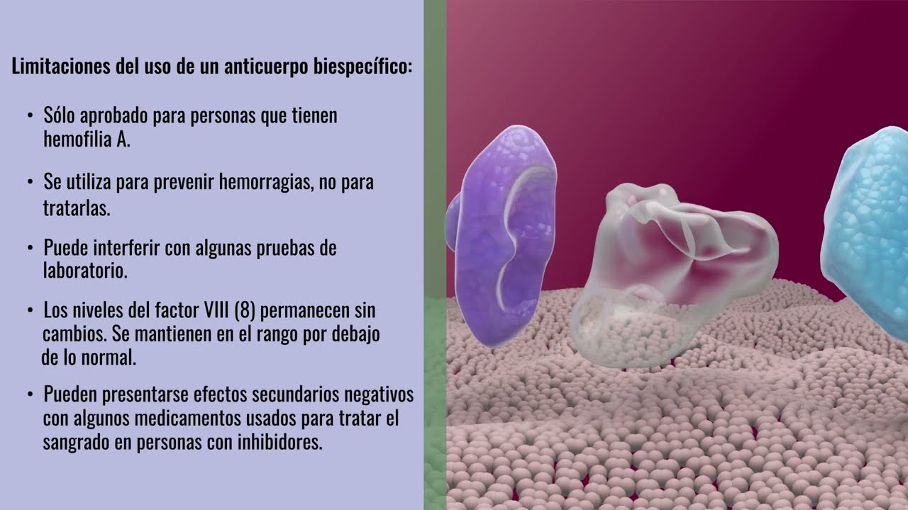 Aprende sobre el anticuerpo biespec&iacute;fico