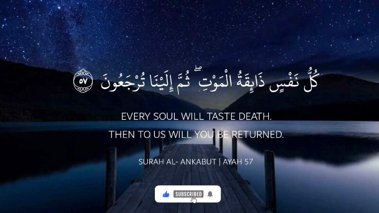 Surah Al-Ankabut | Dil Ko Hila Dene Wali Ayatain | Sabr Aur Iman Ka Paigham 🕷️✨