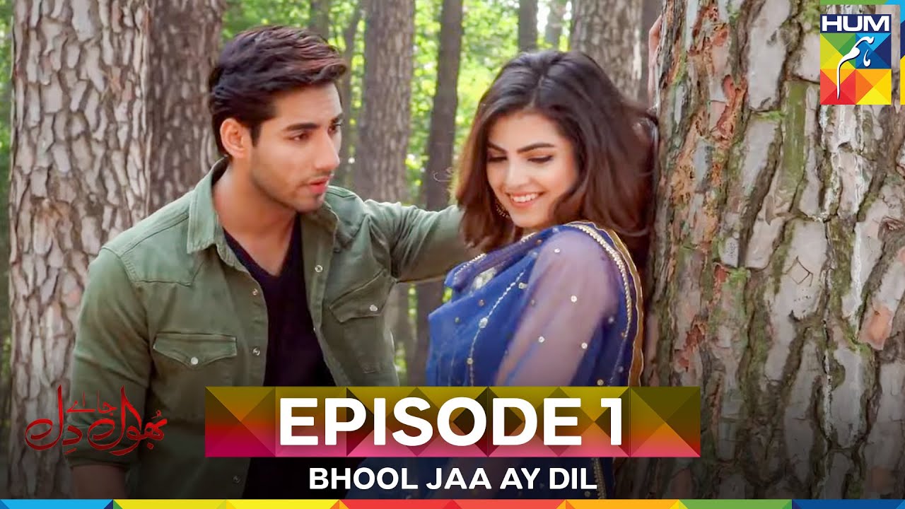 Bhool Jaa Ay Dil Episode 1