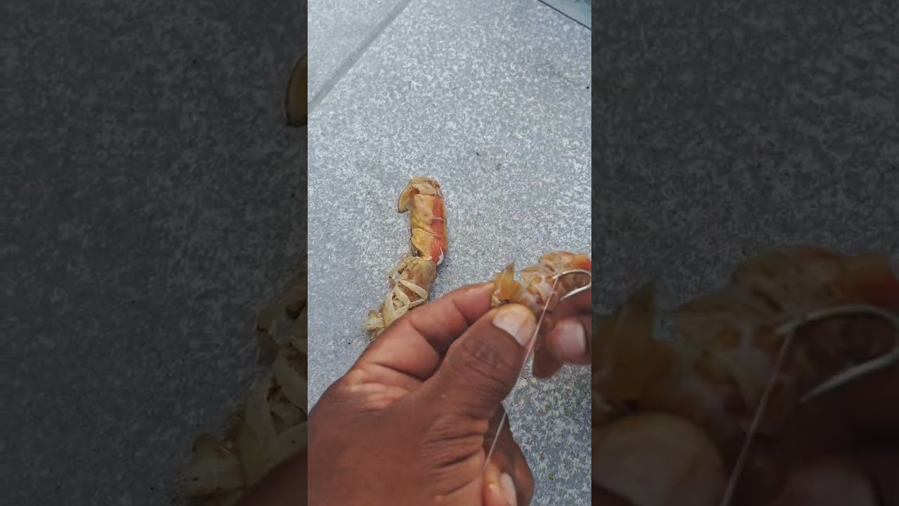 Truco de pesca - Aprende como encarnar un anzuelo de #pesca