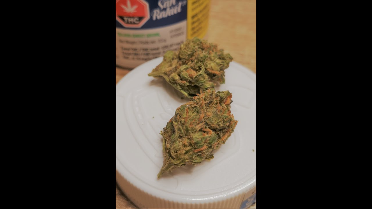Tron's Kron: Episode 12- San Rafael '71 - Island Sweet Skunk - Legal Cannabis Review