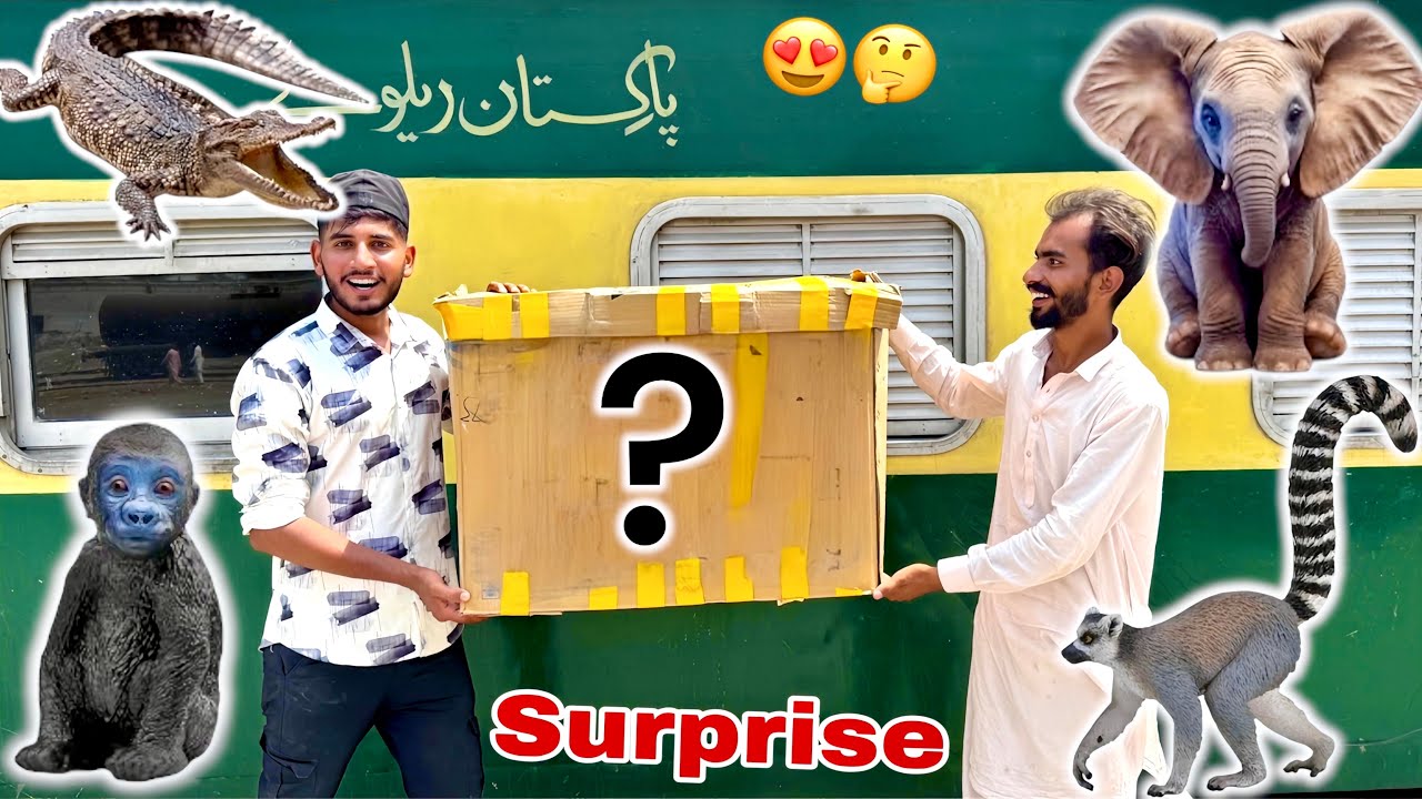 Subscriber Ny Bhot Bhra Surprise De Diya😱