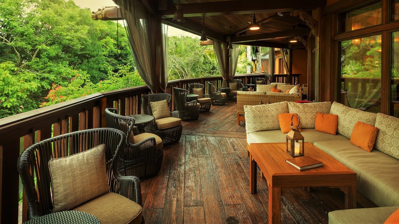 Animal Kingdom | Nomad Lounge | BGM Loop