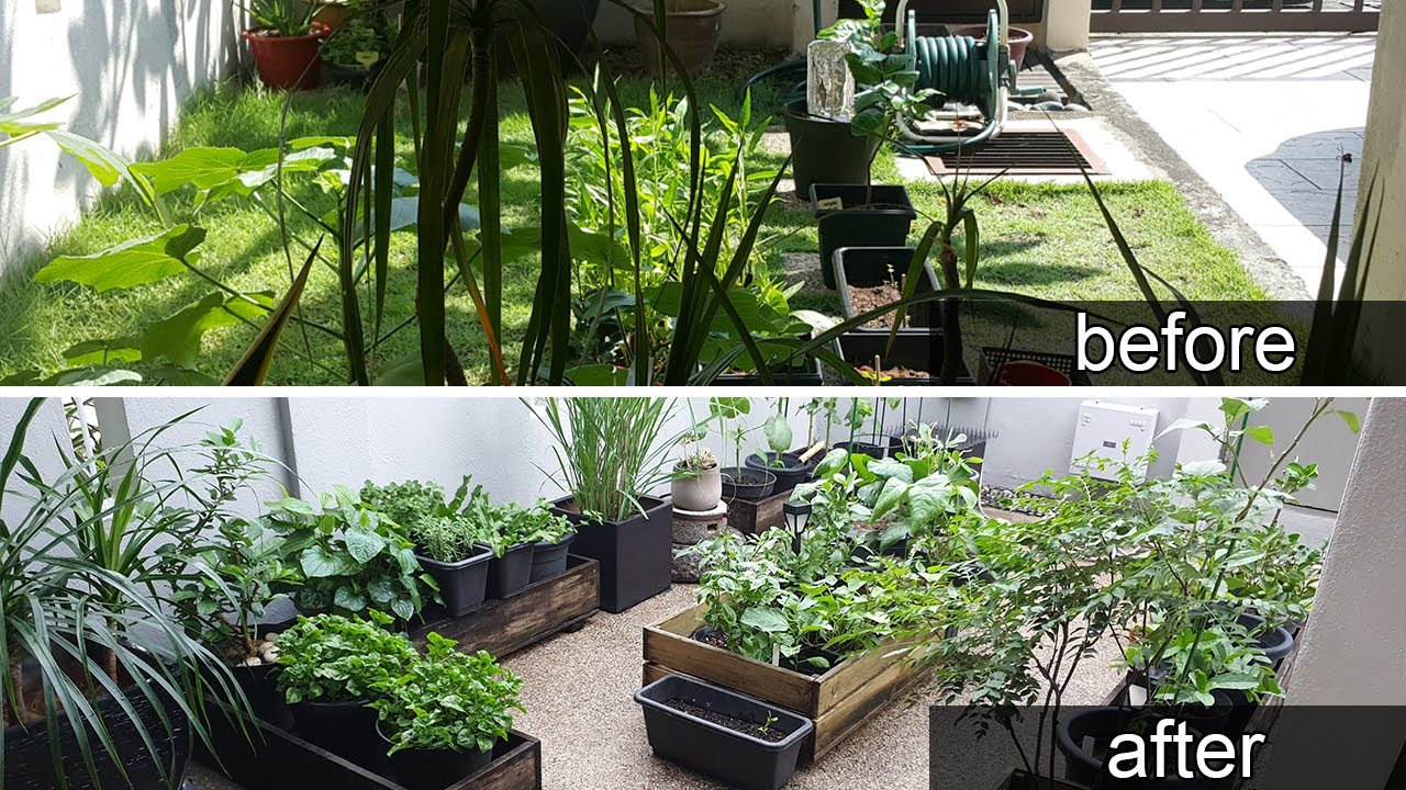 MY EDIBLE GARDEN | Garden Tour | Small garden | Malaysia
