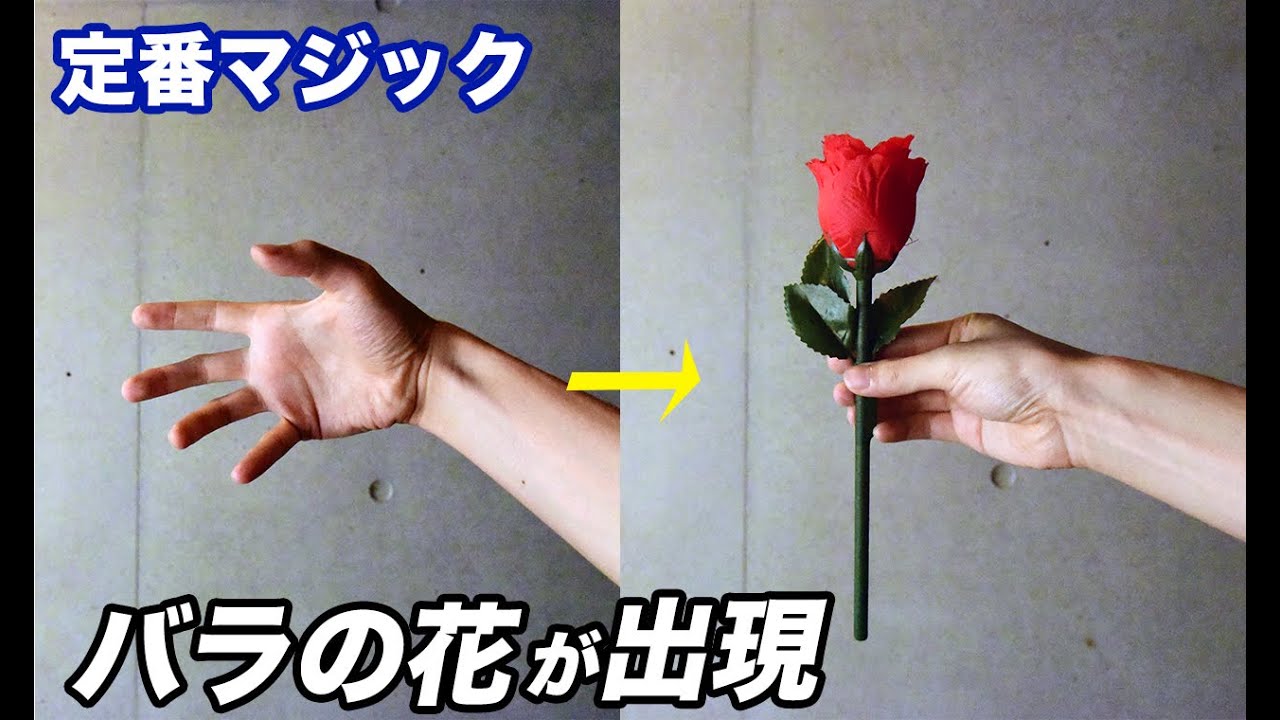 【種明かし】超定番マジック，バラの花が出現する秘密