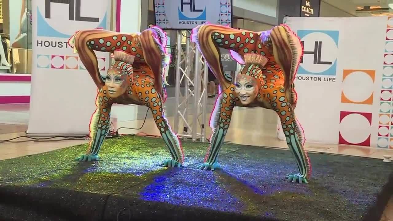 4.28 kurios