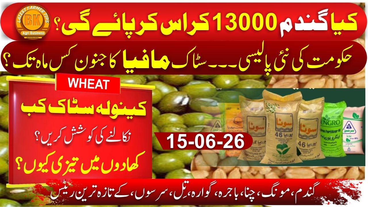 wheat rate in sindh, punjab, kpk | ureia rate | canola price | jowar price | rice rate | Bajra updat