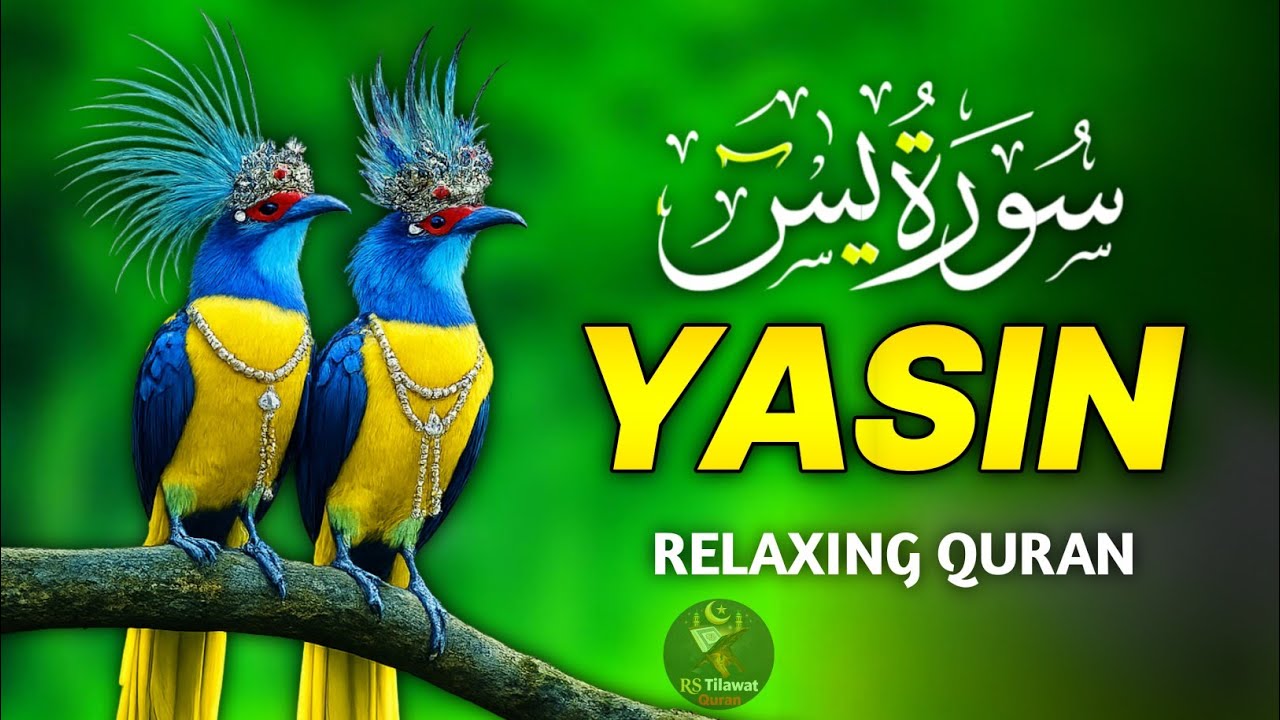 Surah Yaseen (Yasin( سورة يس ) Heart-Touching Quran Recitation by Qari Mansoor | Peace & Blessings 
