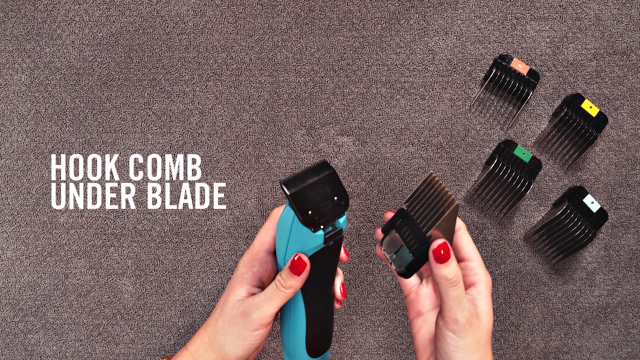 WAHL How to Use a Wahl Detachable Blade