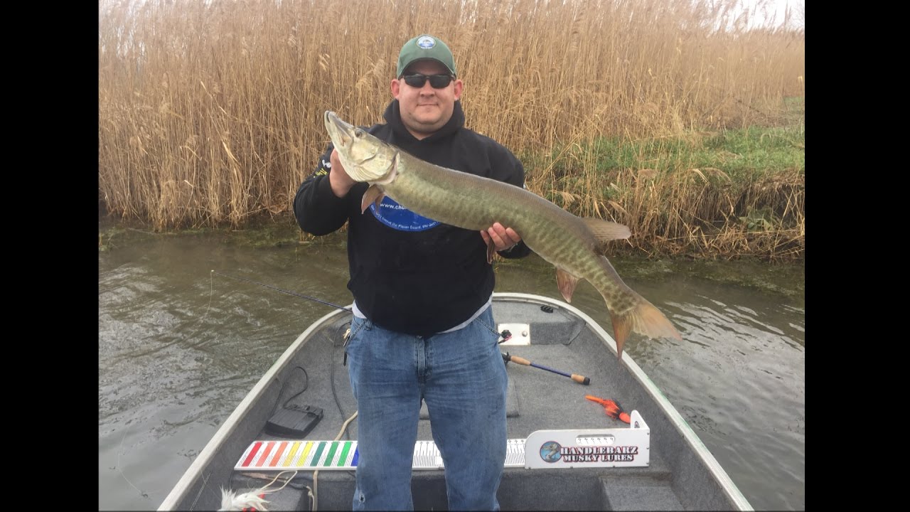 Beaver's Baits - The baby beaver