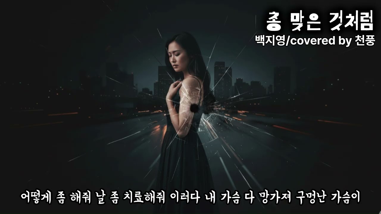 총 맞은 것처럼/백지영(커버원본/가사포함)