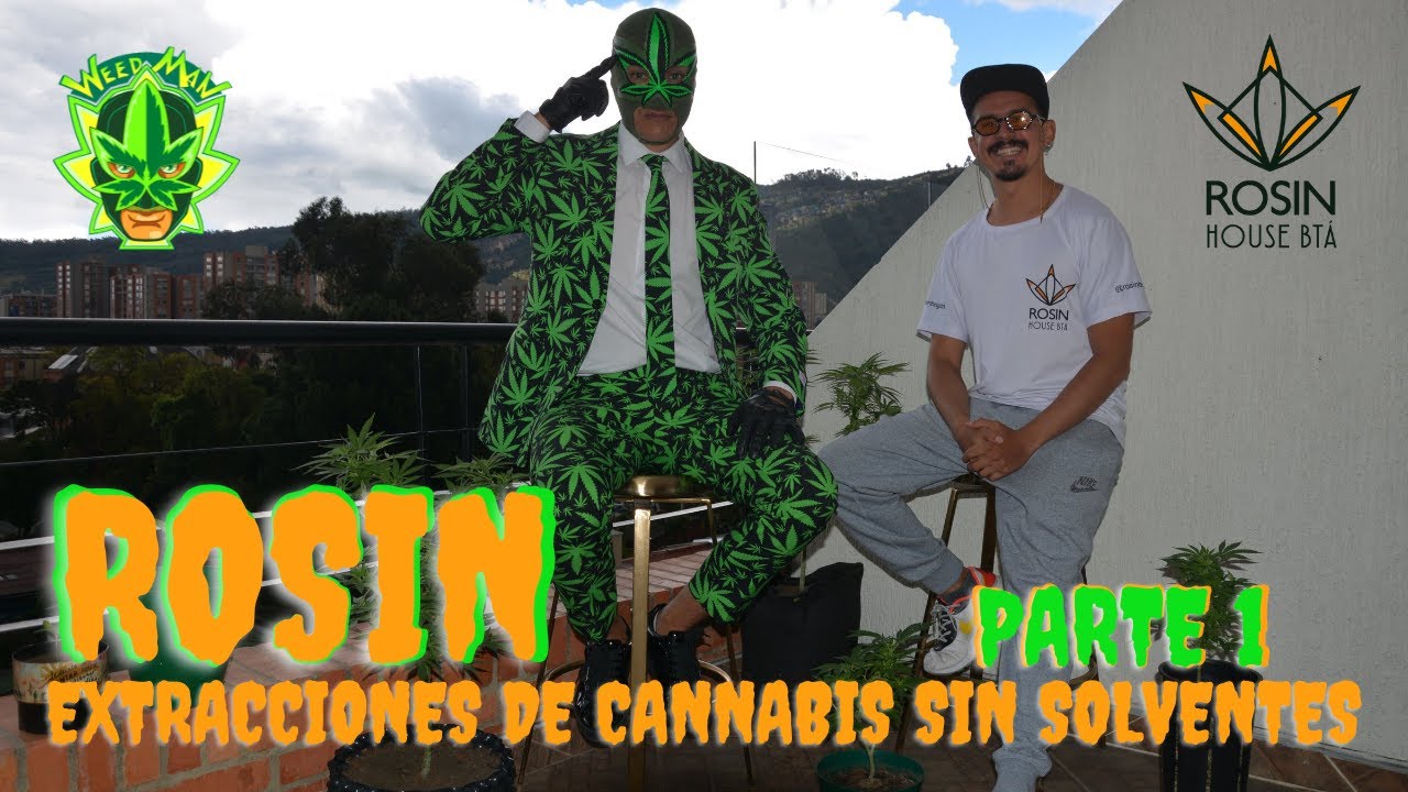 rosin extracci&oacute;nes de cannabis sin solventes #Rosinbogota #weedmanweeds #cannabis #extracciones