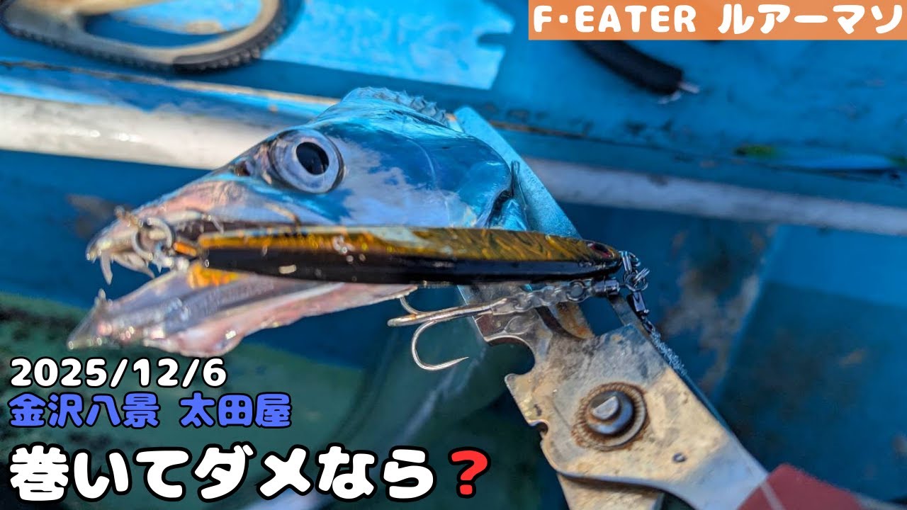 [太田屋]巻きで反応しない時はこれを試してみましょう！[東京湾タチウオジギング]