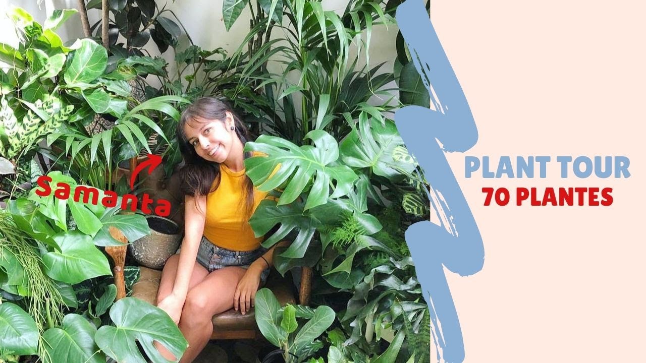 PLANT TOUR  70 PLANTES : A la rencontre des plantes addict  épisode 1 Samanta