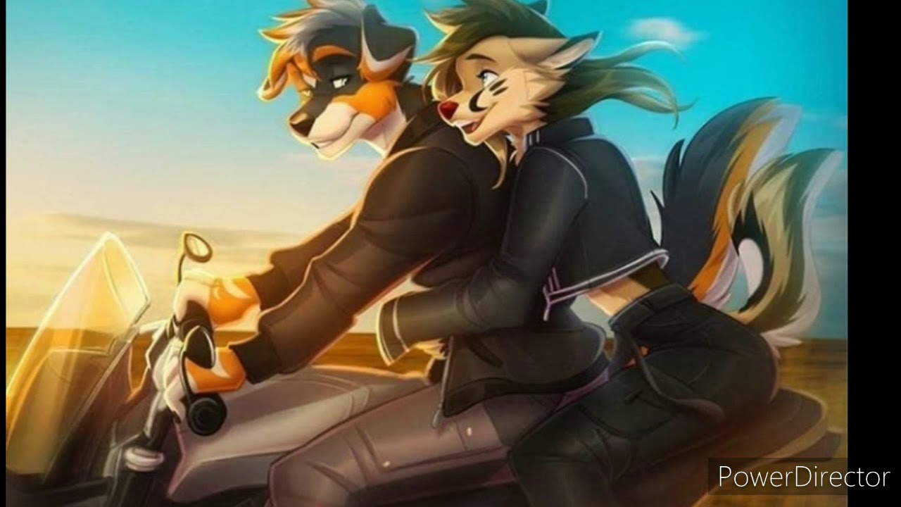 Furry song-lovefool