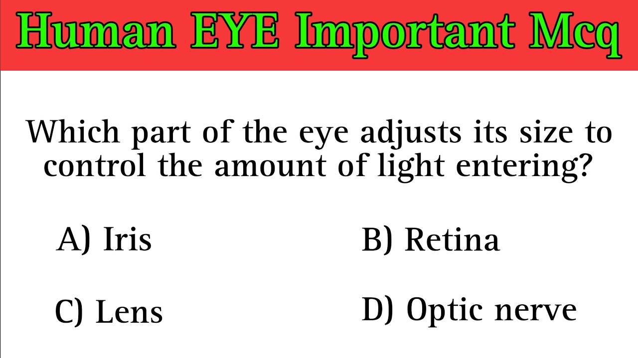 Human Eye Mcq | вопросы о человеческом глазе