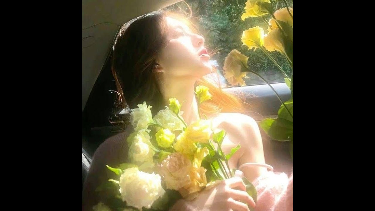 sunkissed - cover high, xz-a