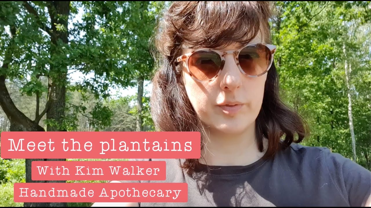 Identifying 3 plantain (Plantago) species
