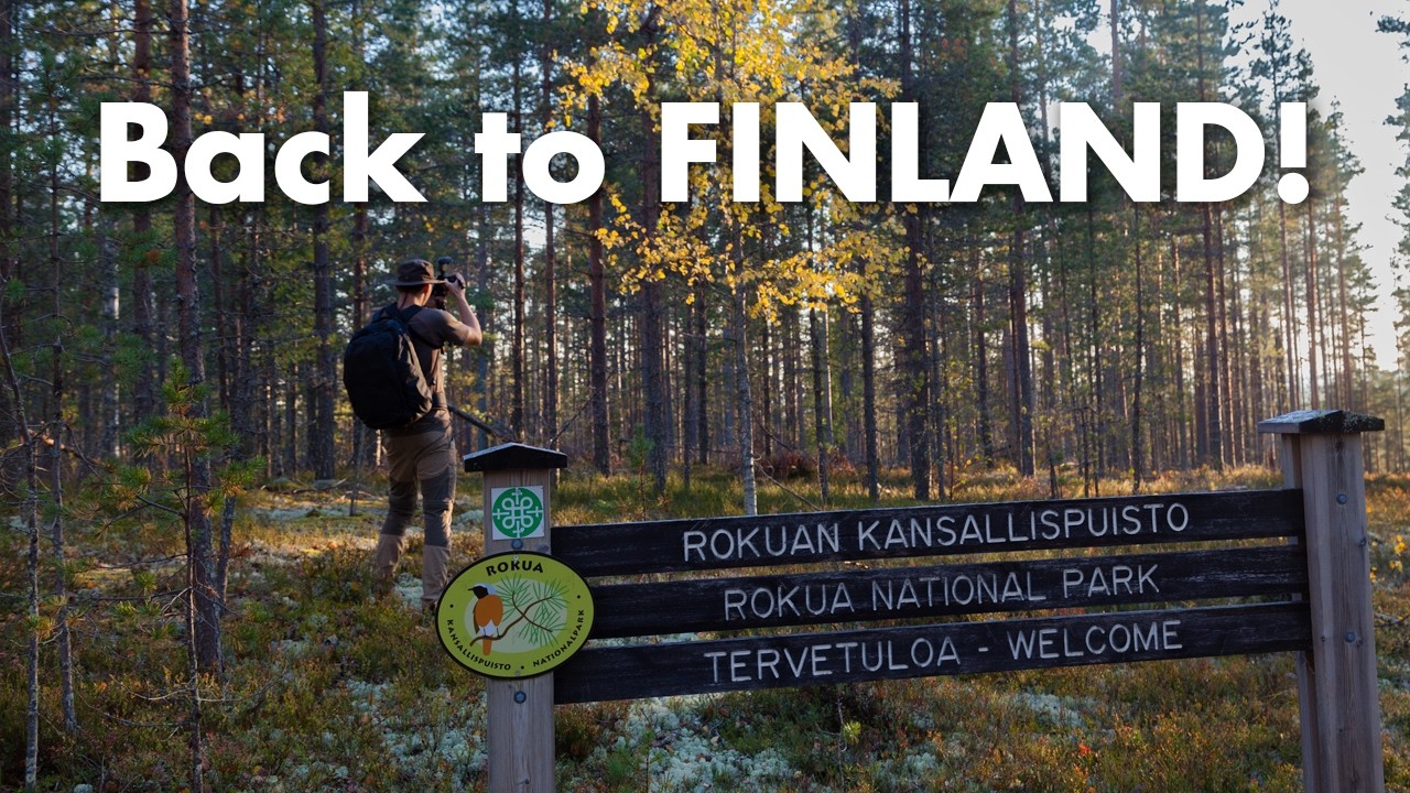 Finland taught us how to relax in nature | Vanlife FINLAND