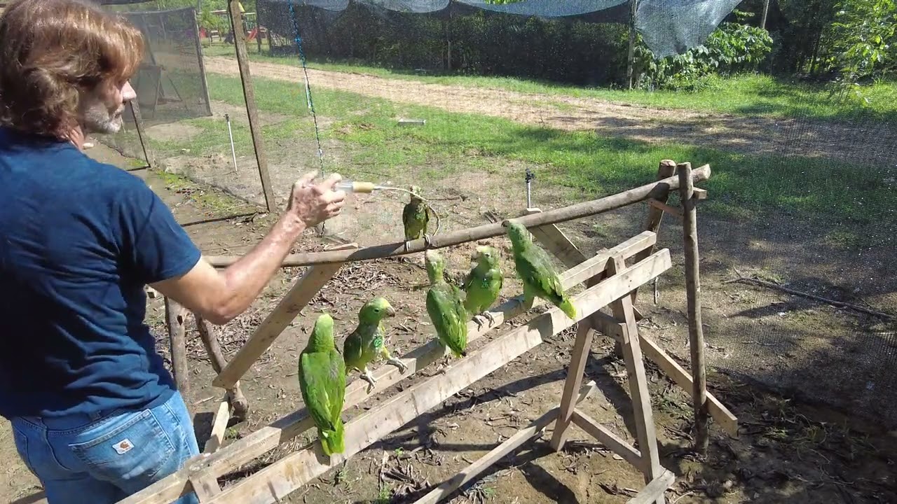 Amazon and Macaw Release, BRI Project in Colombia 2023, June 13