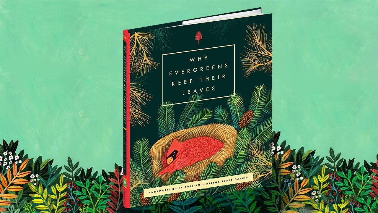 Why Evergreens Keep Their Leaves | Read Along With Me Picture Books