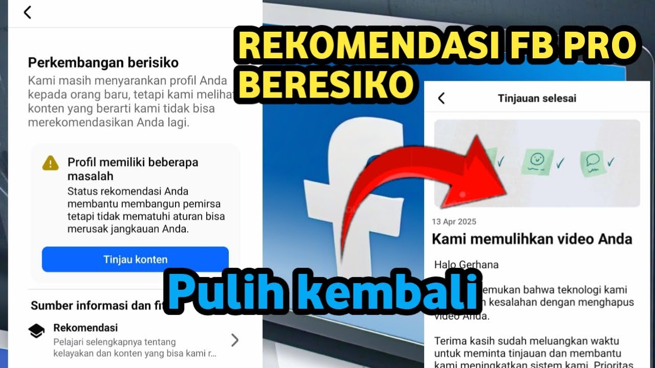 Mengatasi Fb pro rekomendasi beresiko karena PL 2025