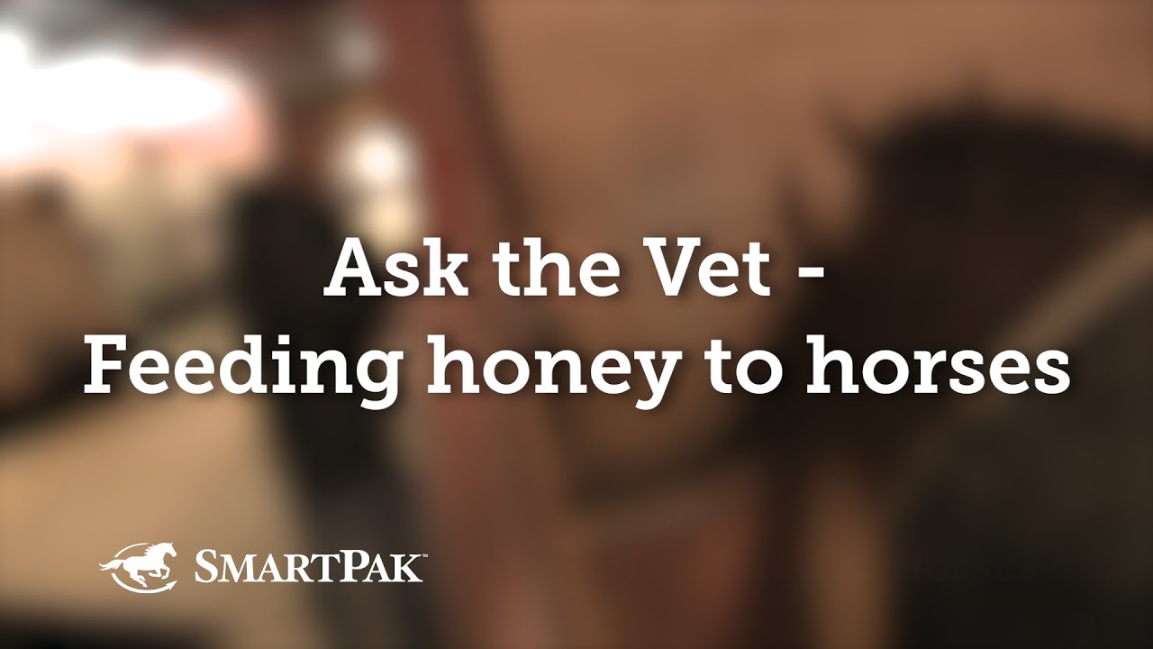 Ask the Vet - Feeding honey to horses