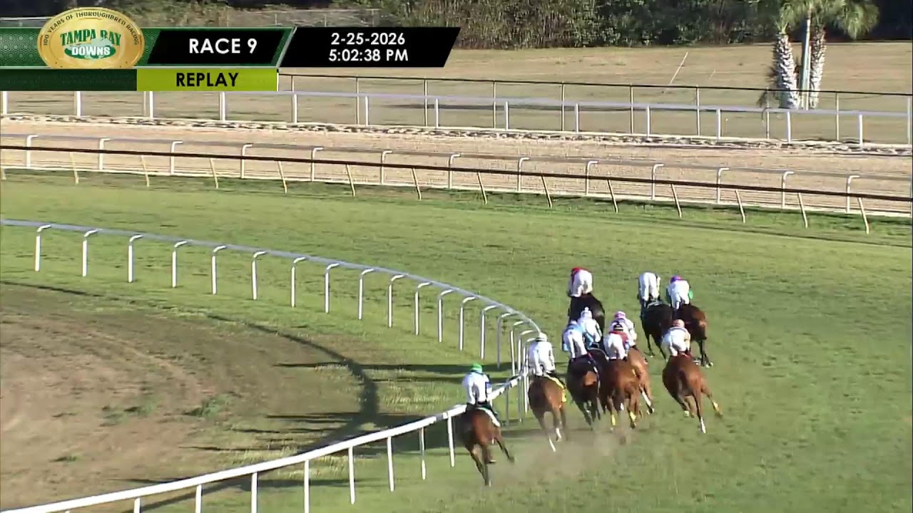 Tampa Bay Downs Live Stream