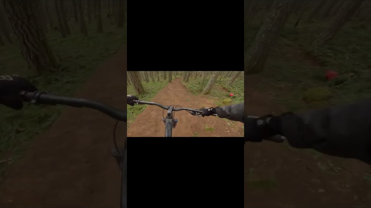 Raw #7idp #mountainbike #tagmetals #aotracing