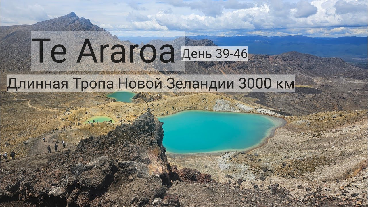 9.  Te Araroa - Длинная Тропа Новой Зеландии 3000 км. День 39-46