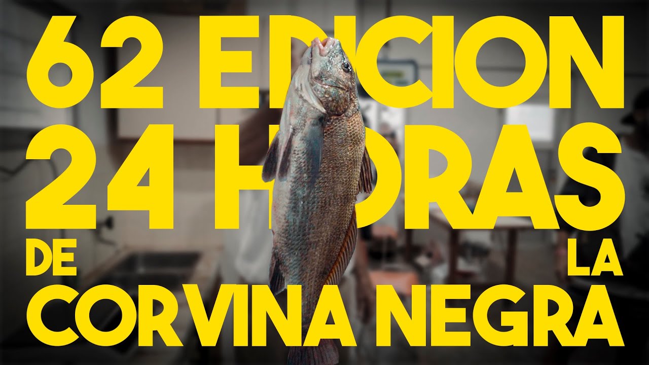 24 Horas de la Corvina Negra 🐡 | Edición 62 del año 2024 🎣 4K