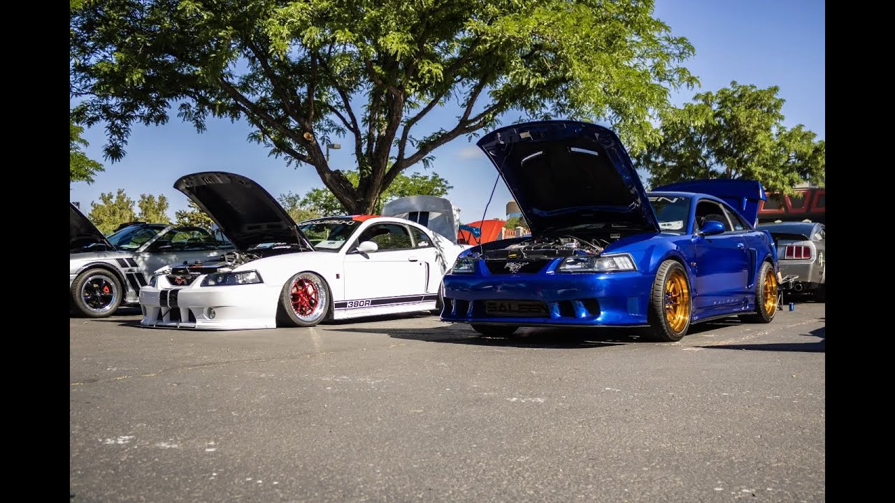 Taking the Saleen, Roush and Cobra to a Mustang car show!