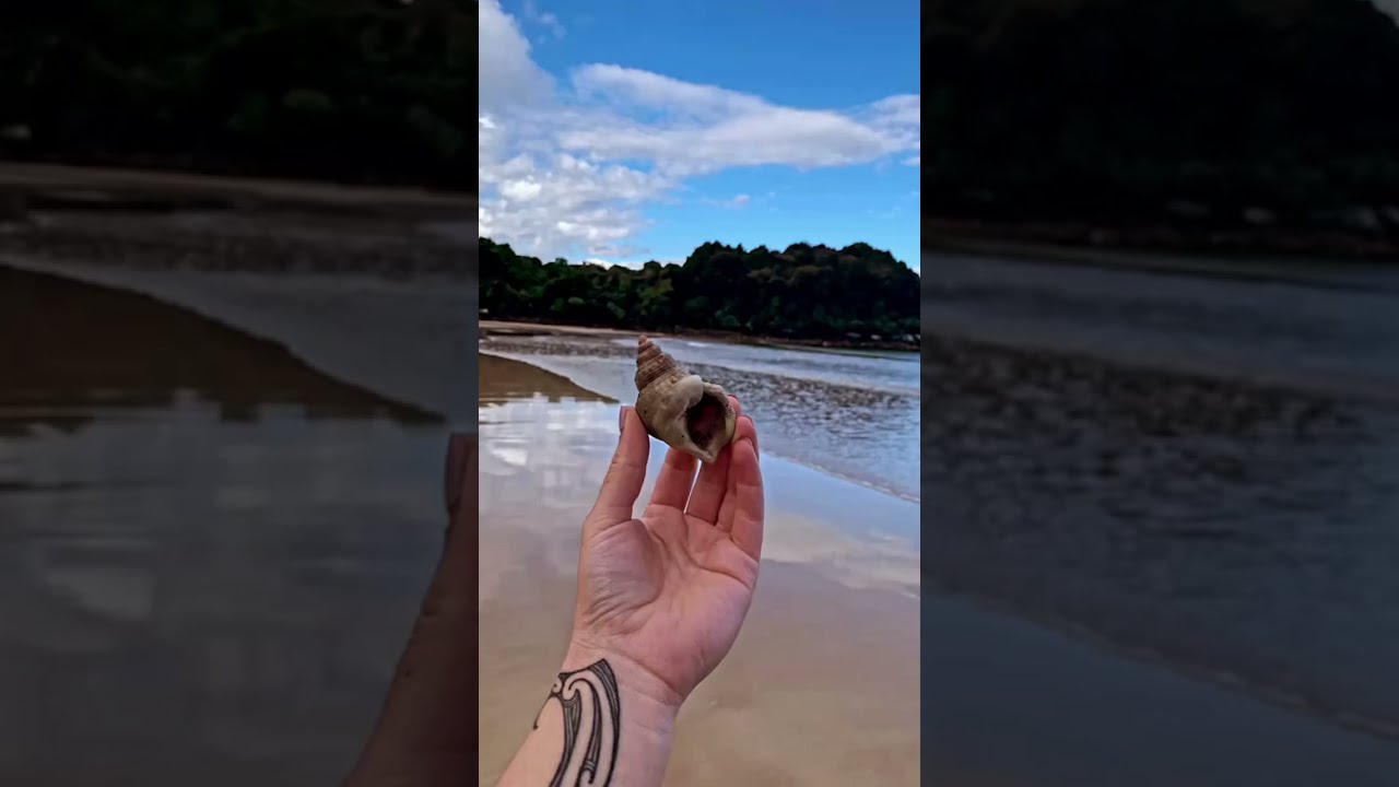ORO ATUA KI TE AO | Playing a Pupurangi shell to the Moana