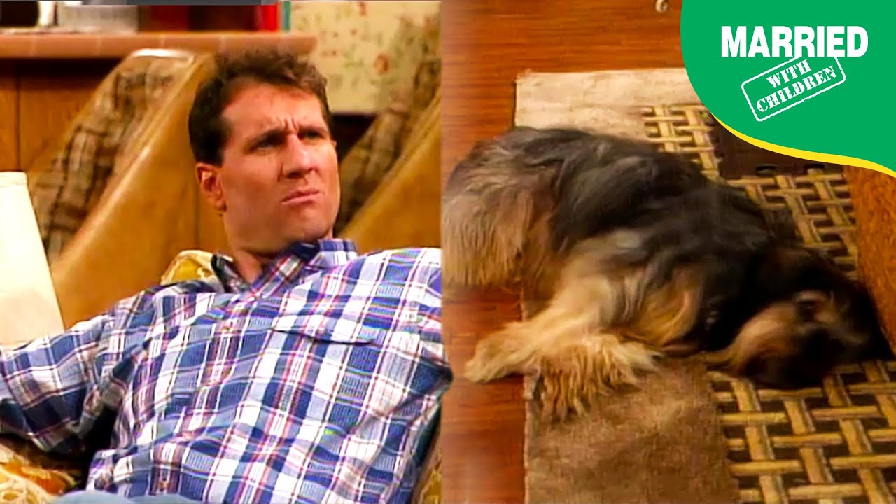 Buck Impregnates The Neighborhood | Married With Children