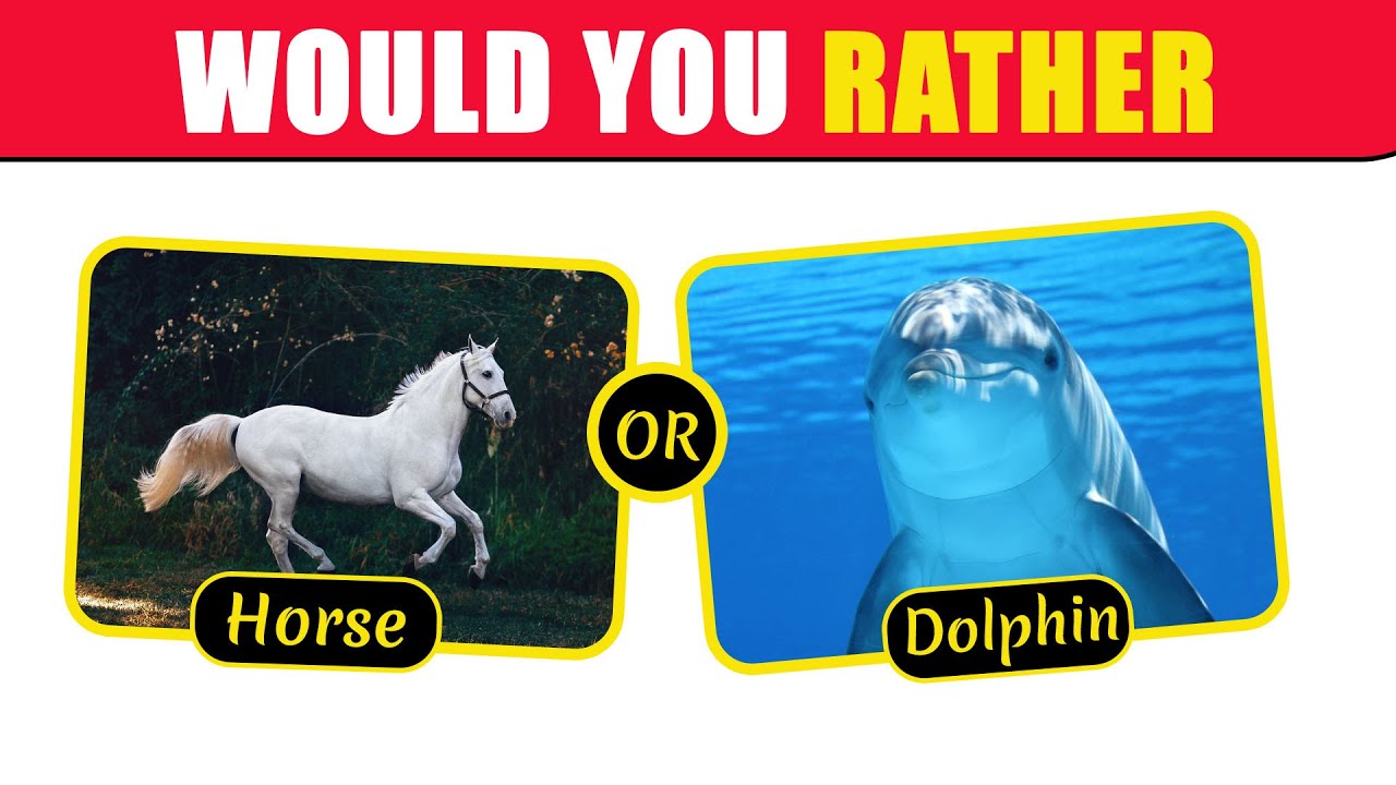 Would You Rather - Animals Edition