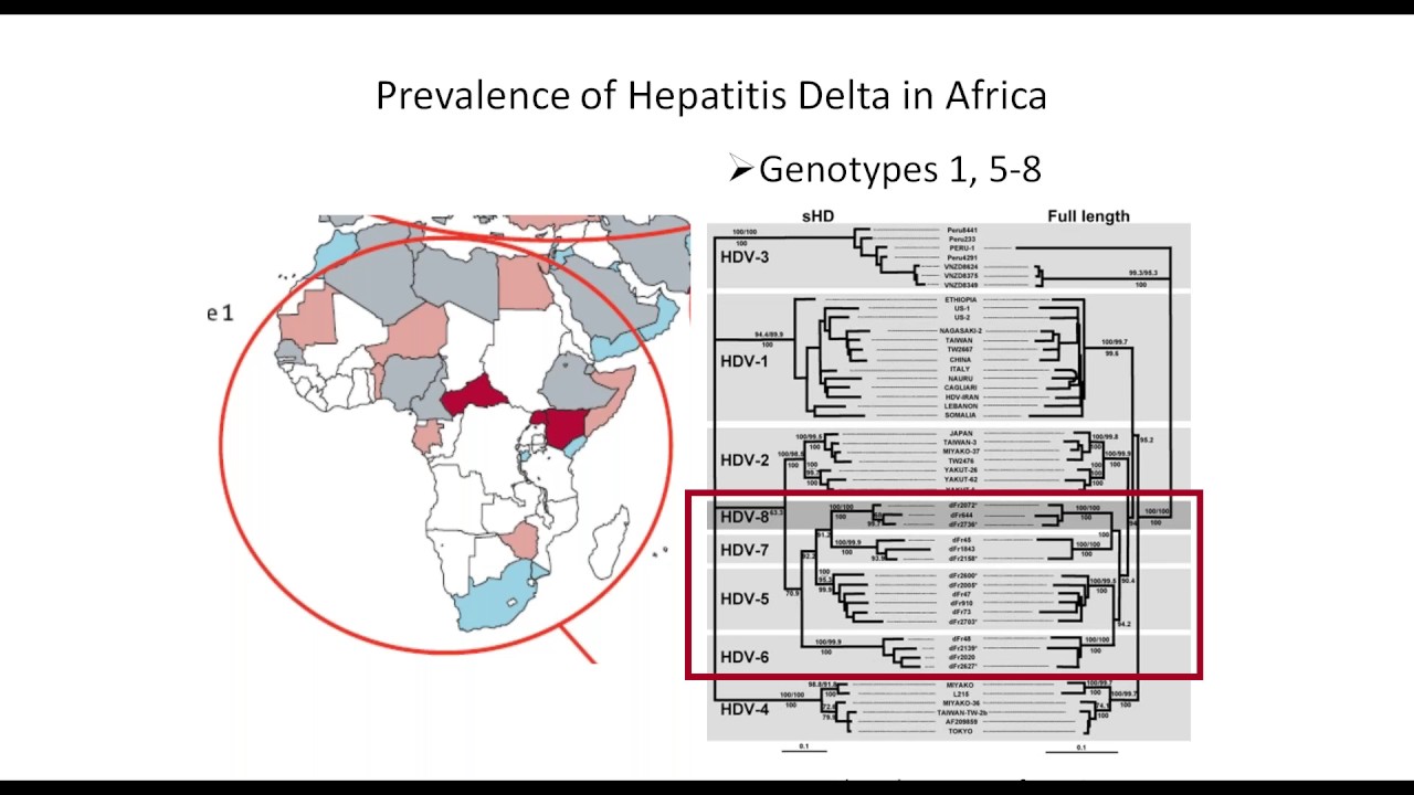 Hepatitis Delta: The Hidden Epidemic