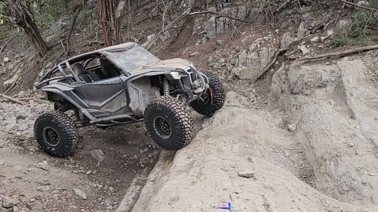 Talon X with Texas Tough Customs 3