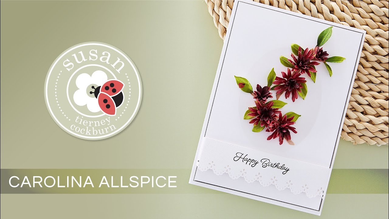 How to with Susan Tierney Cockburn - Carolina Allspice | Painter's Garden