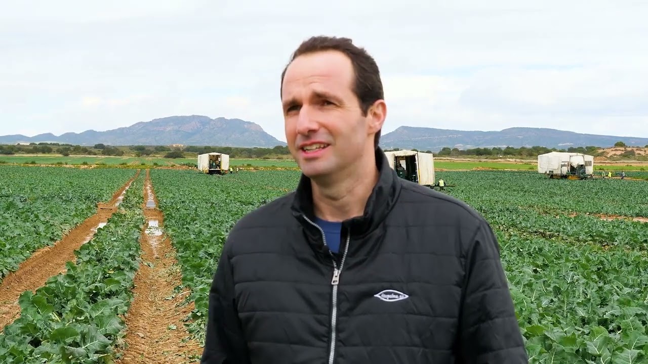 Biofertilización y reducción de abonado en brócoli